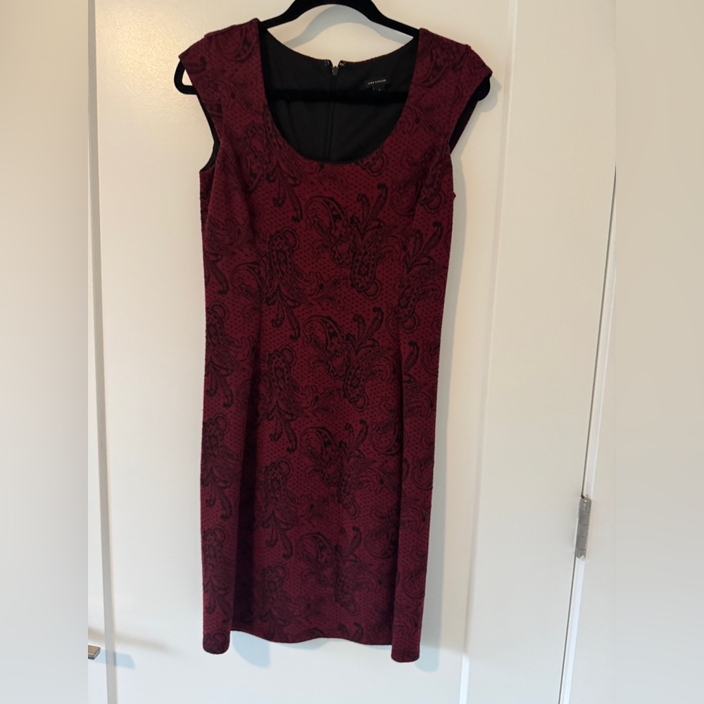 Ann Taylor Burgundy and Black Midi Dress